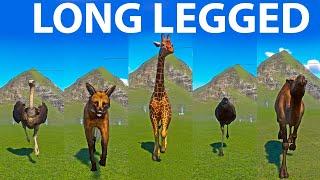 Long Legged Animals Speed Races in Planet Zoo included Giraffe, Emu, Camel, Wolf, Ostrich