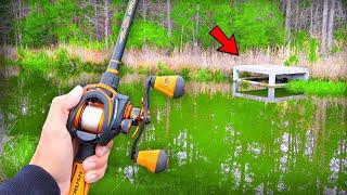 Catching GIANT Bass on BIG Topwater! (TROPHY Bass Fishing)