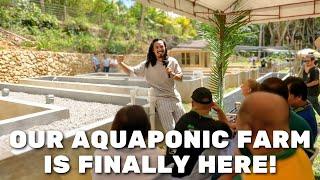 Soft Opening: Our New Aquaponic Farm in the Philippines! Ep 11