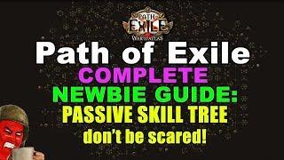 Path of Exile COMPLETE NEWBIE Guide 6: Passive Skill Tree - Don't be Scared!