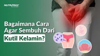 Apakah Kutil Kelamin Bisa Sembuh?