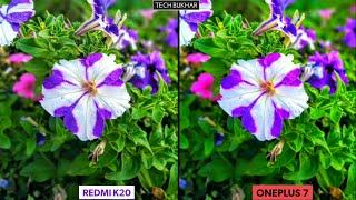 Redmi K20 vs Oneplus 7 Camera Comparison || #RedmiK20, #Oneplus7, #TECHBUKHAR, K20 vs 1+7 Camera