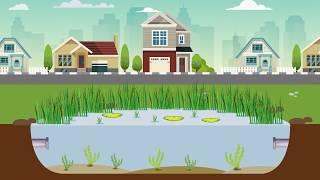 Stormwater ponds