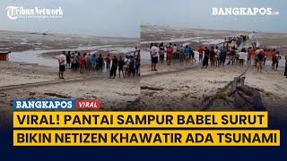 Viral! Pantai Sampur Bangka Belitung Surut Bikin Netizen Khawatir Ada Tsunami, BMKG Ungkap Faktanya