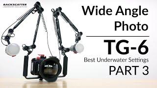 Olympus TG-6 | Wide Angle Photo | Best Underwater Camera Settings: Part 3