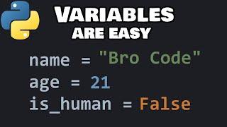 Python variables for beginners 