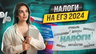 Налоги | ЕГЭ 2024 | Настя Малова