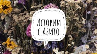 Истории с Авито. Часть 1