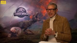 Jeff Goldblum has some romance advice for people afraid to make the first move