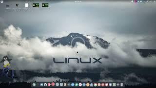 Figure out Linux - Descobrindo o Linux