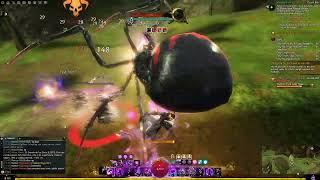 Guild Wars 2 | Champion Toxic Spider Queen | Mesmer | Solo