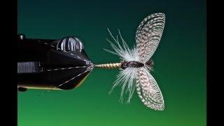 Fly Tying a mayfly dry fly spinner with Barry Ord Clarke