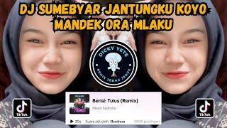 DJ SUMEBYAR JANTUNGKU KOYO MANDEK ORA MLAKU || DJ TULUS NIKEN SALINDRY VIRAL TIKTOK TERBARU 2024