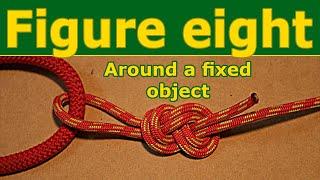 Figure eight follow through knot,  tie into a climbing harness.