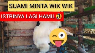 SUAMI MINTA WIK WIK PADAHAL ISTRI MAU LAHIRAN