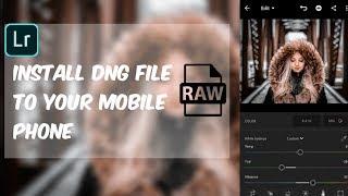How to install dng file to lightroom mobile | Import preset to lightroom mobile
