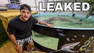 We had a LEAK in the SHARK POND…