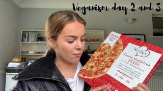 being vegan for a week!!! days two and three | Phoebe Stallan