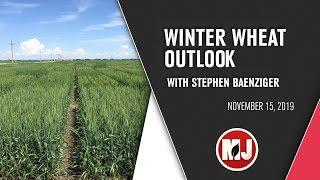 Winter Wheat Outlook | Stephen Baenziger | November 15, 2019