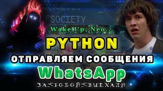 Практика Python | Отправляем сообщения в WhatsApp | Автоматизация WhatsApp