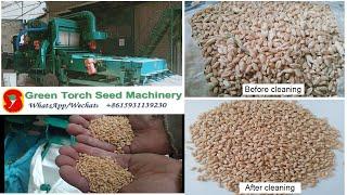 combined seed gravity separating cleaning machine