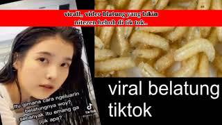 viral,, video blatung yang hebohkan  warganet di tik tok.