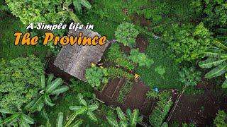 Harvesting Fruit & Vagetables (Lansones & Stringbeans) | Buhay Probinsya | Life in Countryside