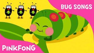 Hungry Caterpillars | Bug Songs | PINKFONG Songs