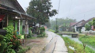 Heavy Rain Walks in My Hometown | Walk in the Rain of Umbrellas and Sounds of Rural Nature For Sleep