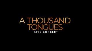 A Thousand Tongues Live Concert - Luigi Maclean