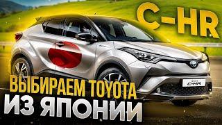 КУРСЫ СНОВА ВНИЗ!? Выбираем TOYOTA на аукционах ЯПОНИИ