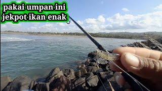 JACKPOT, MANCING IKAN PAKAI UDANG HIDUP...!!! MANCING PINGGIRAN