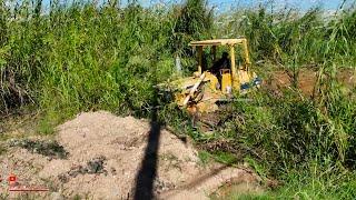 Great Technical! Dozer D58E Skills Clear forest And Cutter​Trimming​ At Side Road With KOMAT'SU Push