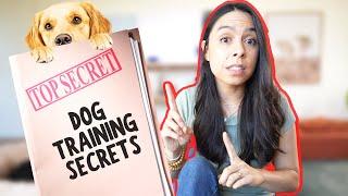 5 Secrets Dog Trainers Won’t Tell You for FREE 