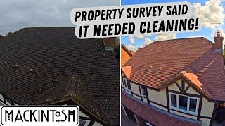 Property Survey Recommended This Roof Clean