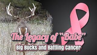 The legacy of "Babe"  - Big Bucks and Battling Cancer