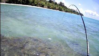 Casting Dengan Umpan Minnow Sinking Dari Pinggiran Pantai || ULTRALIGHT FISHING