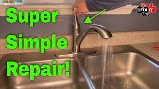 Delta Single Handle  Kitchen Faucet Repair