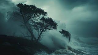 Deep Sleep Instantly in Under 3 Minutes with Powerful Hurricane , Heavy Rain & Strong Wind Sounds