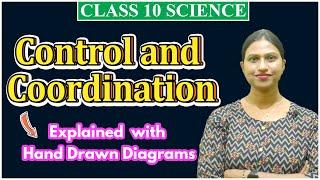 Control and Coordination One Shot Class 10 Science for Board