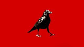 [FREE] Dark Aggressive Rap Beat 2019 | "CROW" | Slow RAP/TRAP Hip Hop Instrumental |