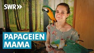 Wie Hunde mit Flügeln: Anke und ihre Papageien