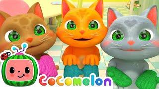 Three Little Kittens! | CoComelon Furry Friends | Animals for Kids