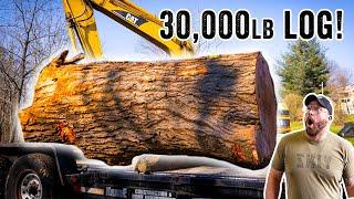 We Rescue A HUGE Log and Mill it!