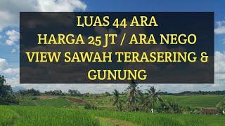 DIJUAL TANAH SAWAH MURAH DI BALI|| VIEW GUNUNG DAN SAWAH TERASERING||MEGATI SELEMADEG TABANAN