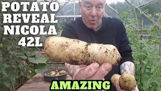 Container Potato Reveal Nicola 2nd Early [Gardening Allotment UK] [Grow Vegetables At Home ]