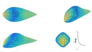 Aerodynamic shape optimization around a human