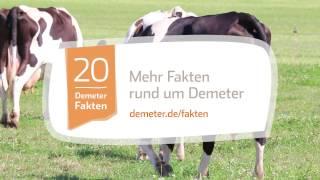 Von der Kuh zur Milch