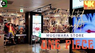 ONE PIECE | MUGIWARA STORE | ANIME | MANGA | JAPAN WALK | 4K @NOYJITV