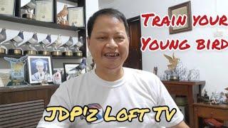 How to train your young bird by JDP'z Loft Tv